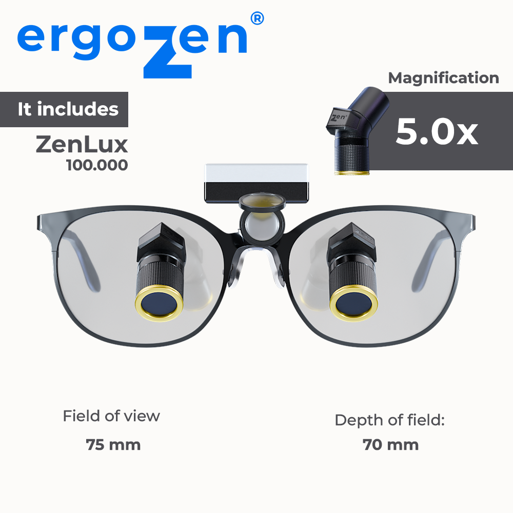ErgoZen®