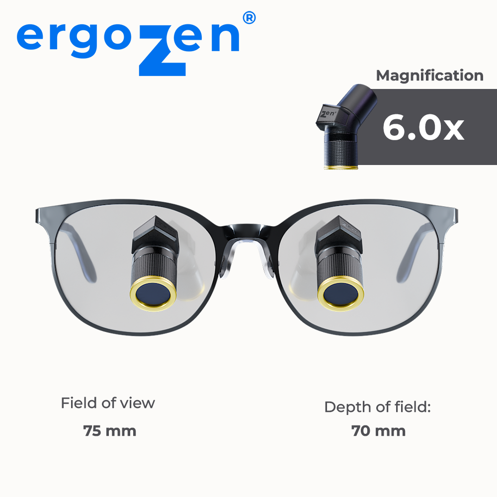 ErgoZen®