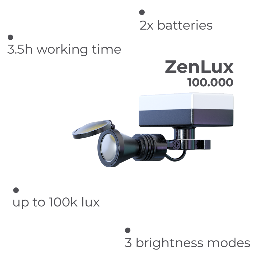ZenLux_.png__PID:70837739-382f-42c7-8b03-b657f5295058