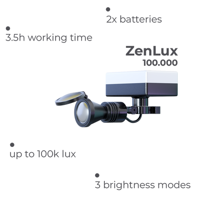 ZenLux_.png__PID:70837739-382f-42c7-8b03-b657f5295058